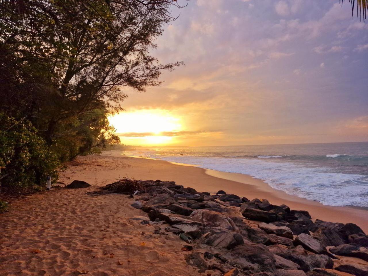 Panorama Beach Hotel Tangalle Dış mekan fotoğraf